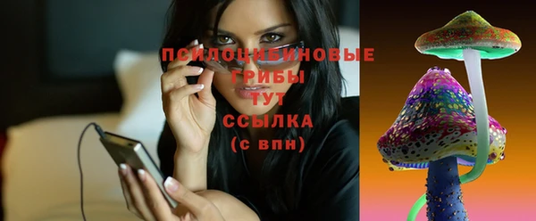 эйфоретик Алексин
