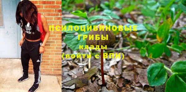 эйфоретик Алексин