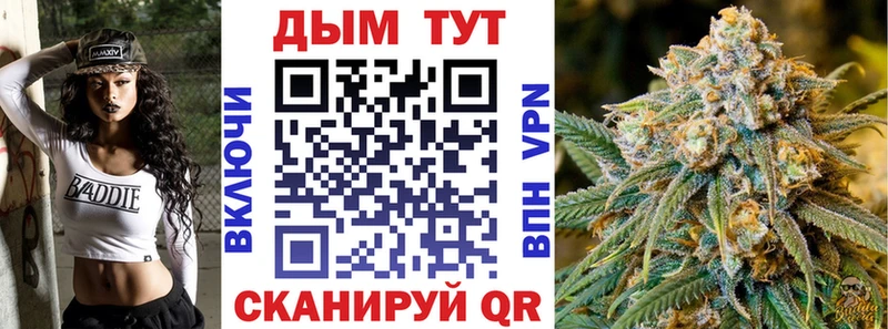 Шишки марихуана планчик  Чаплыгин 